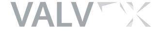 Valvex logo